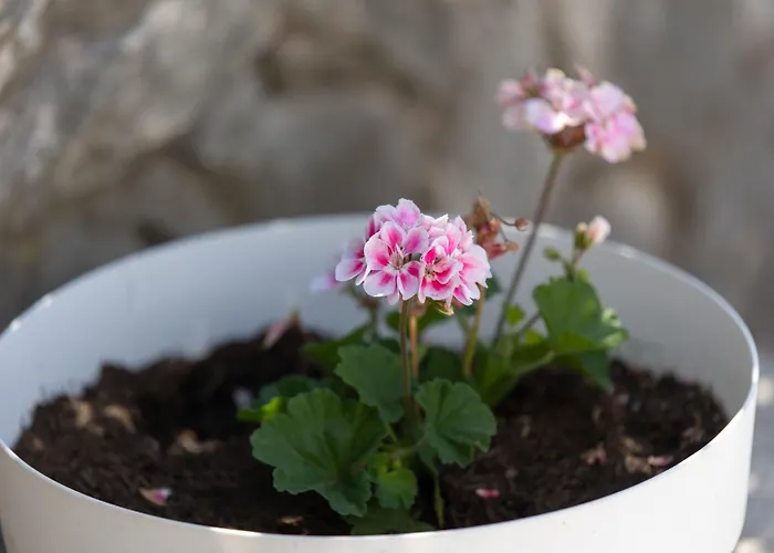 Treno, Luxurious With Jacuzzi And Sea-view