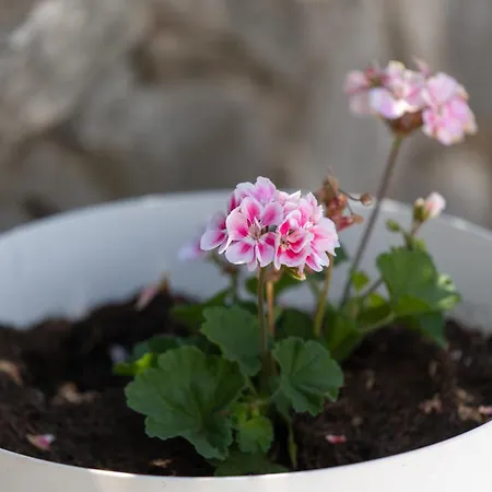 Treno, Luxurious With Jacuzzi And Sea-view